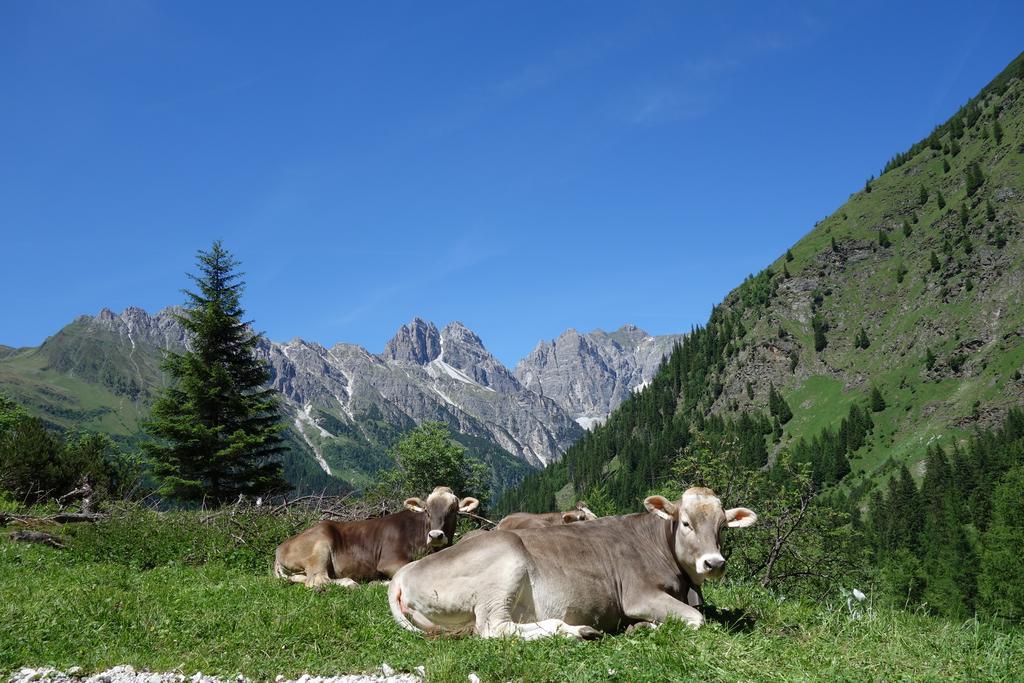 Hotel Eagles Inn Innsbruck Zewnętrze zdjęcie